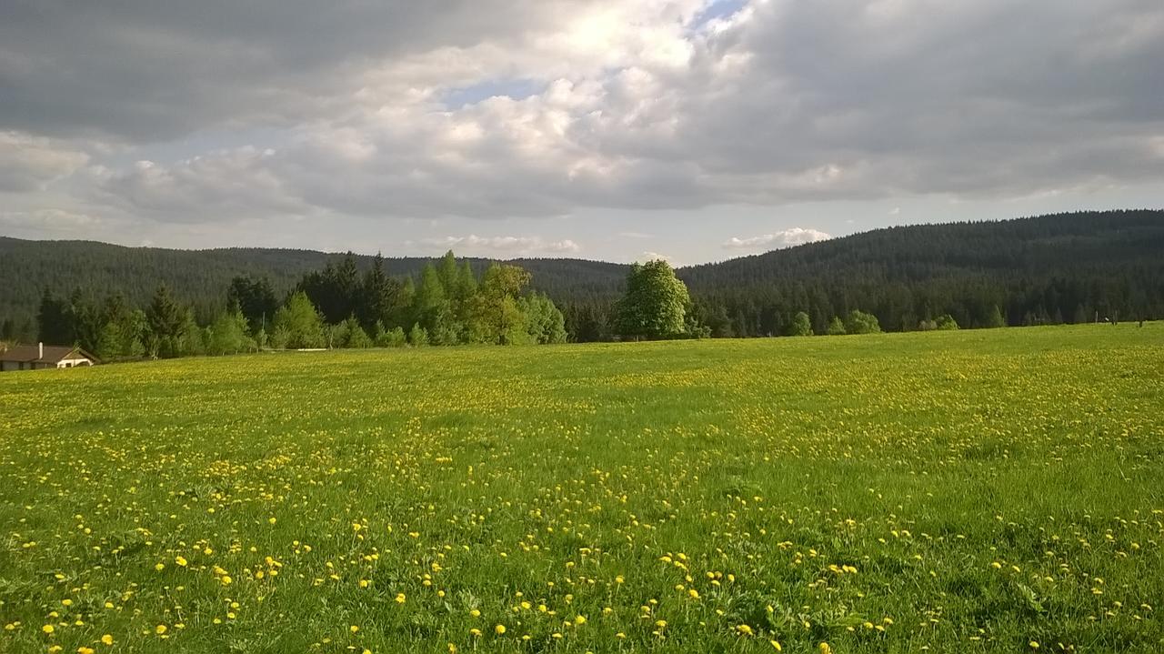 Apartment-Chalet-Chaloupka U Trnku Lazne Kynzvart Eksteriør bilde